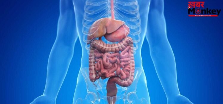 पाचन तंत्र को हेल्दी रखने के लिए खाली पेट क्या खाएं? एक्सपर्ट से जानें