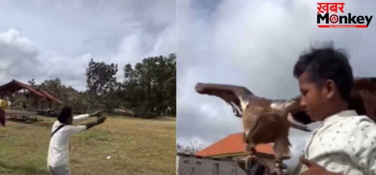 Viral Video: नन्हे बच्चे की पुकार पर आसमान से उतरा बाज, कैमरे में कैद हुआ ऐसा पल…जिस पर यकीन करना मुश्किल
