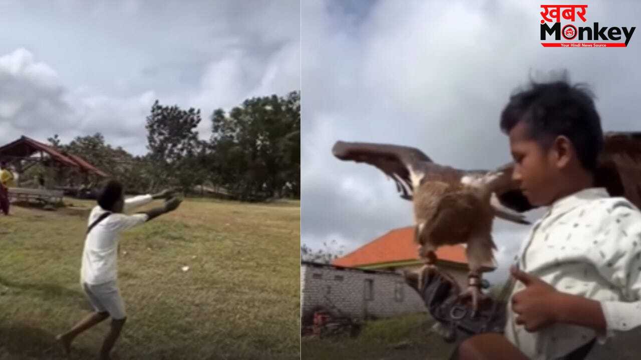 Viral Video: नन्हे बच्चे की पुकार पर आसमान से उतरा बाज, कैमरे में कैद हुआ ऐसा पल…जिस पर यकीन करना मुश्किल
