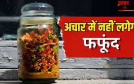 गर्मी हो या बारिश…अचार कई साल नहीं होगा खराब, जान लें ये आसान तरीके
