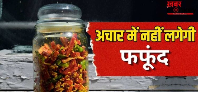 गर्मी हो या बारिश…अचार कई साल नहीं होगा खराब, जान लें ये आसान तरीके