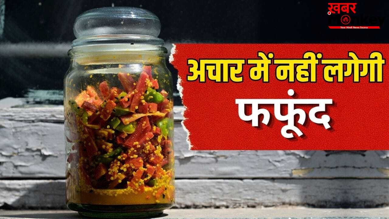 गर्मी हो या बारिश…अचार कई साल नहीं होगा खराब, जान लें ये आसान तरीके