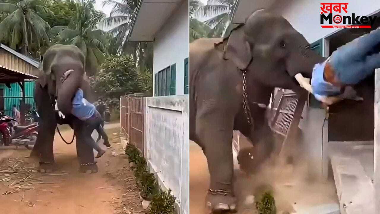हाथी के हमले का खौफनाक वीडियो वायरल, मौत को सामने देख कांप गए लोग; लेकिन क्लिप की सच्चाई है कुछ और