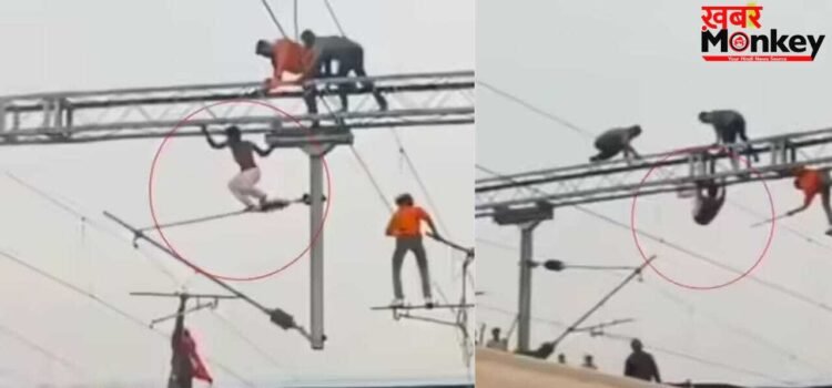 Viral Video: बिजली के तारों पर ‘WWE’, रेलवे स्टेशन बना जंग का मैदान, कभी नहीं देखा होगा ऐसा हाई-वोल्टेज ड्रामा