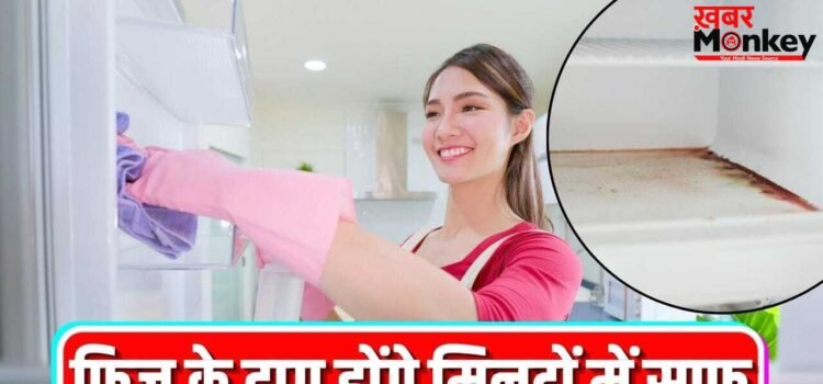 चुटकियों में साफ होंगे फ्रिज के जिद्दी दाग, बदबू भी रहेगी दूर, जान लें ये स्मार्ट तरीके