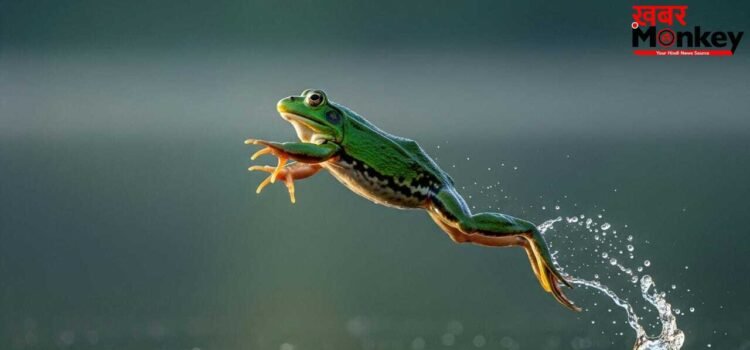 OMG! प्रकृति ने इस जीव साथ किया है अजीबोगरीब खेल, मुंह में नहीं आंखों में है चबाने की शक्ति