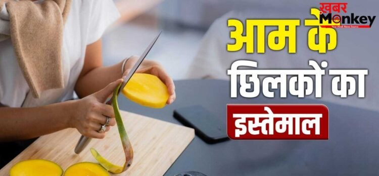 Mango Peel Reuse Tips: खाद से मैंगो टी तक… आम के छिलकों को फेंकने के बजाय इन कामों में करें यूज