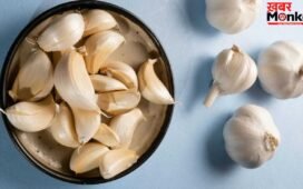 Garlic Benefits: रोज सुबह खाली पेट 2 लहसुन की कलियां खाने से क्या होता है? एक्सपर्ट से जानें