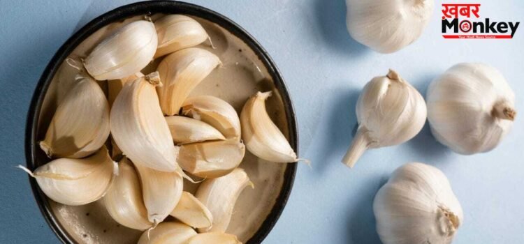 Garlic Benefits: रोज सुबह खाली पेट 2 लहसुन की कलियां खाने से क्या होता है? एक्सपर्ट से जानें