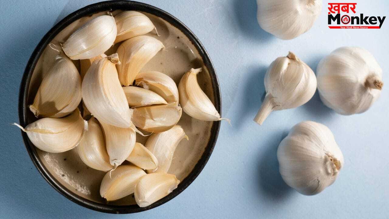Garlic Benefits: रोज सुबह खाली पेट 2 लहसुन की कलियां खाने से क्या होता है? एक्सपर्ट से जानें