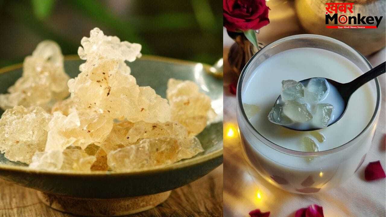 ड्रिंक ही नहीं इन 5 तरीकों से करें गोंद कतीरा का इस्तेमाल, मिलेगी गर्मी से राहत