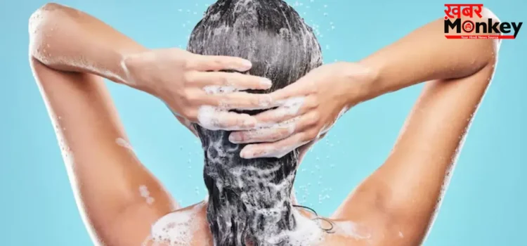 Hair Fall Tips: आपके बालों को बर्बाद कर रहे हैं ये केमिकल्स! जानें कैसे चुनें अपने बालों के लिए बेस्ट शैंपू