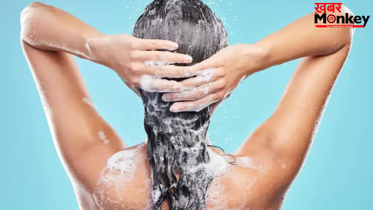 Hair Fall Tips: आपके बालों को बर्बाद कर रहे हैं ये केमिकल्स! जानें कैसे चुनें अपने बालों के लिए बेस्ट शैंपू