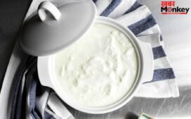 Homemade Curd: घर के जमाए दही में पानी होता है ज्यादा? इन तरीकों से इसे करें ठीक