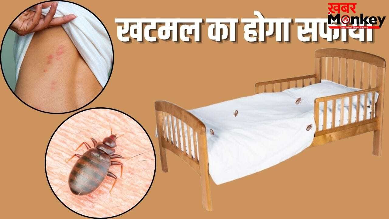 काट-काटकर किया हाल बेहाल…पलंग या सोफा में हो गए हैं खटमल, इन टिप्स से भगाएं दूर