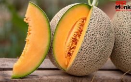 खरबूजा मीठा है या नहीं…खरीदने से पहले कैसे पहचानें? ये तरीकें आएंगे काम