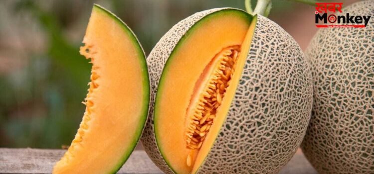 खरबूजा मीठा है या नहीं…खरीदने से पहले कैसे पहचानें? ये तरीकें आएंगे काम