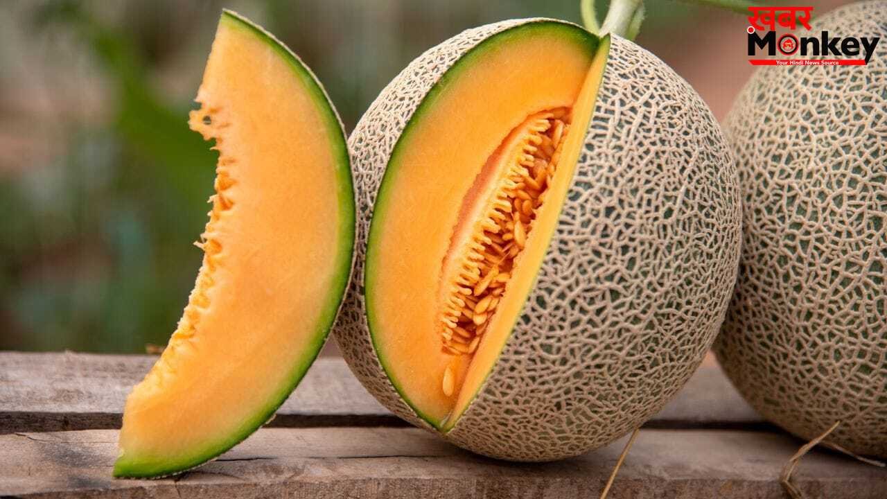 खरबूजा मीठा है या नहीं…खरीदने से पहले कैसे पहचानें? ये तरीकें आएंगे काम