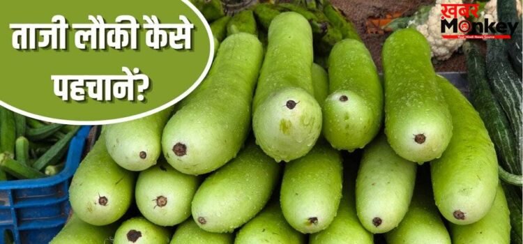 बाजार से कई दिन पुरानी लौकी न खरीद लाएं, इन आसान तरीकों से करें पहचान