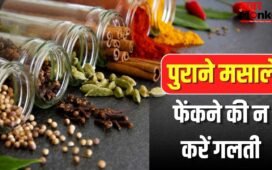 बदबू होगी खत्म, कॉकरोच भागेंगे दूर…पुराने मसालों को फेंकने की बजाय ऐसे करें यूज