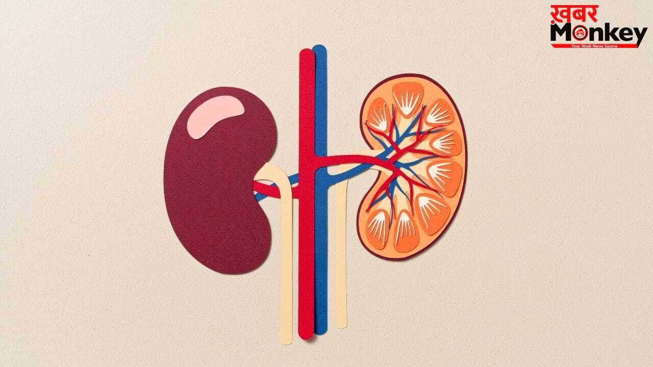 ज्यादा प्रोटीन खाना किडनी को कैसे कर देता है खराब? एक्सपर्ट्स से जानें