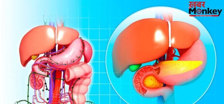 क्या महिलाओं में लिवर की बीमारियों के लक्षण पुरुषों से अलग होते हैं? कैसे दिखते हैं संकेत