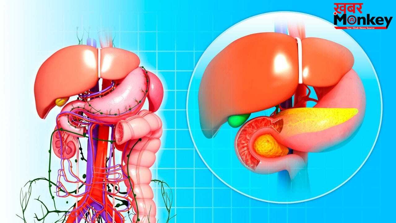 क्या महिलाओं में लिवर की बीमारियों के लक्षण पुरुषों से अलग होते हैं? कैसे दिखते हैं संकेत