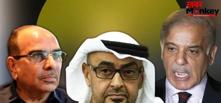 कर्ज चुकाने के बाद UAE से बदला लेने के मूड में PAK, दुबई के इस अरबपति को गिरफ्तार करने निकली पुलिस