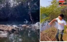 Viral Video: लाइक्स और व्यूज के लिए बंदे ने मगरमच्छों पर फेंका सुतली बम, मची ऐसी तबाही हिल गए दरिंदे