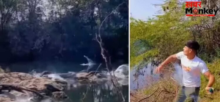 Viral Video: लाइक्स और व्यूज के लिए बंदे ने मगरमच्छों पर फेंका सुतली बम, मची ऐसी तबाही हिल गए दरिंदे
