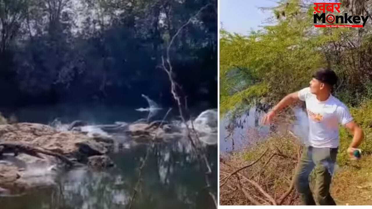 Viral Video: लाइक्स और व्यूज के लिए बंदे ने मगरमच्छों पर फेंका सुतली बम, मची ऐसी तबाही हिल गए दरिंदे