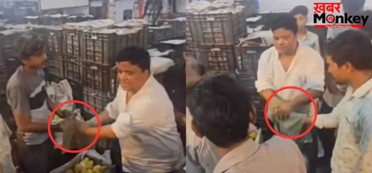 Viral Video: आम बोलचाल में नहीं, खास तरीके से मंडी में होता है मोल-भाव, तरीका देख पक्का दंग रह जाएंगे आप