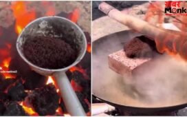 OMG! ‘बेजुबानों का सामूहिक मर्डर’ हजारों चींटियों को जिंदा जलाने का वीडियो वायरल, देख भड़के लोग