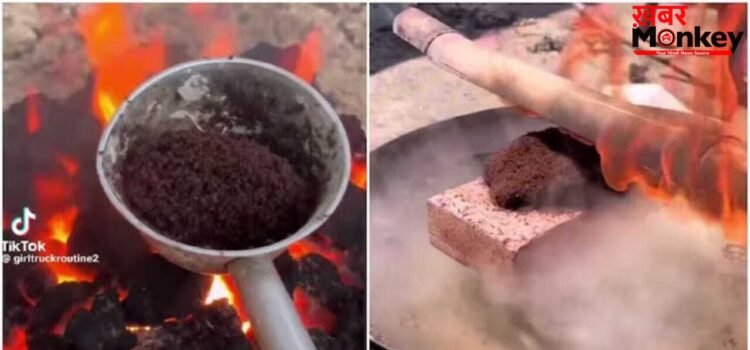 OMG! ‘बेजुबानों का सामूहिक मर्डर’ हजारों चींटियों को जिंदा जलाने का वीडियो वायरल, देख भड़के लोग