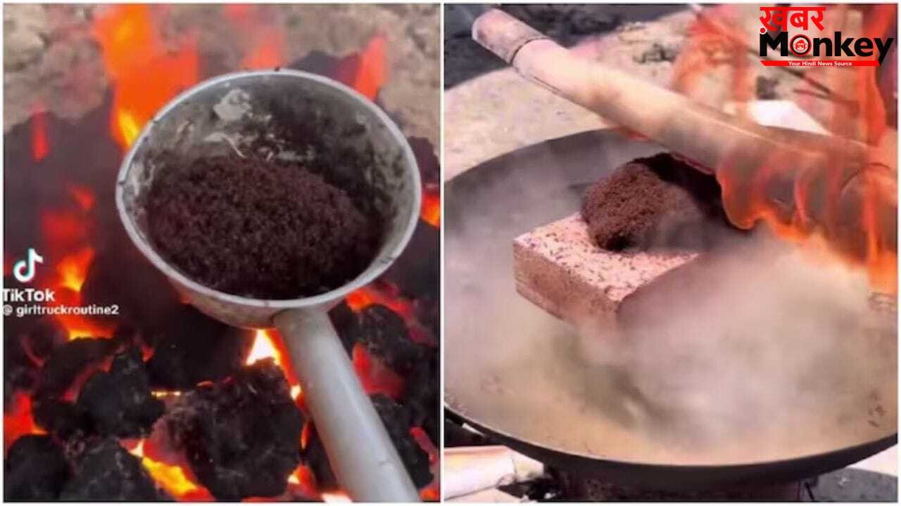 OMG! ‘बेजुबानों का सामूहिक मर्डर’ हजारों चींटियों को जिंदा जलाने का वीडियो वायरल, देख भड़के लोग