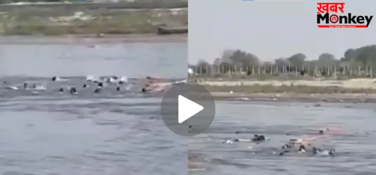 मथुरा नाव हादसे का लाइव VIDEO आया सामने, यमुना में जान बचाने को छटपटाते दिखे लोग, मंजर देख कांप जाएगी रूह