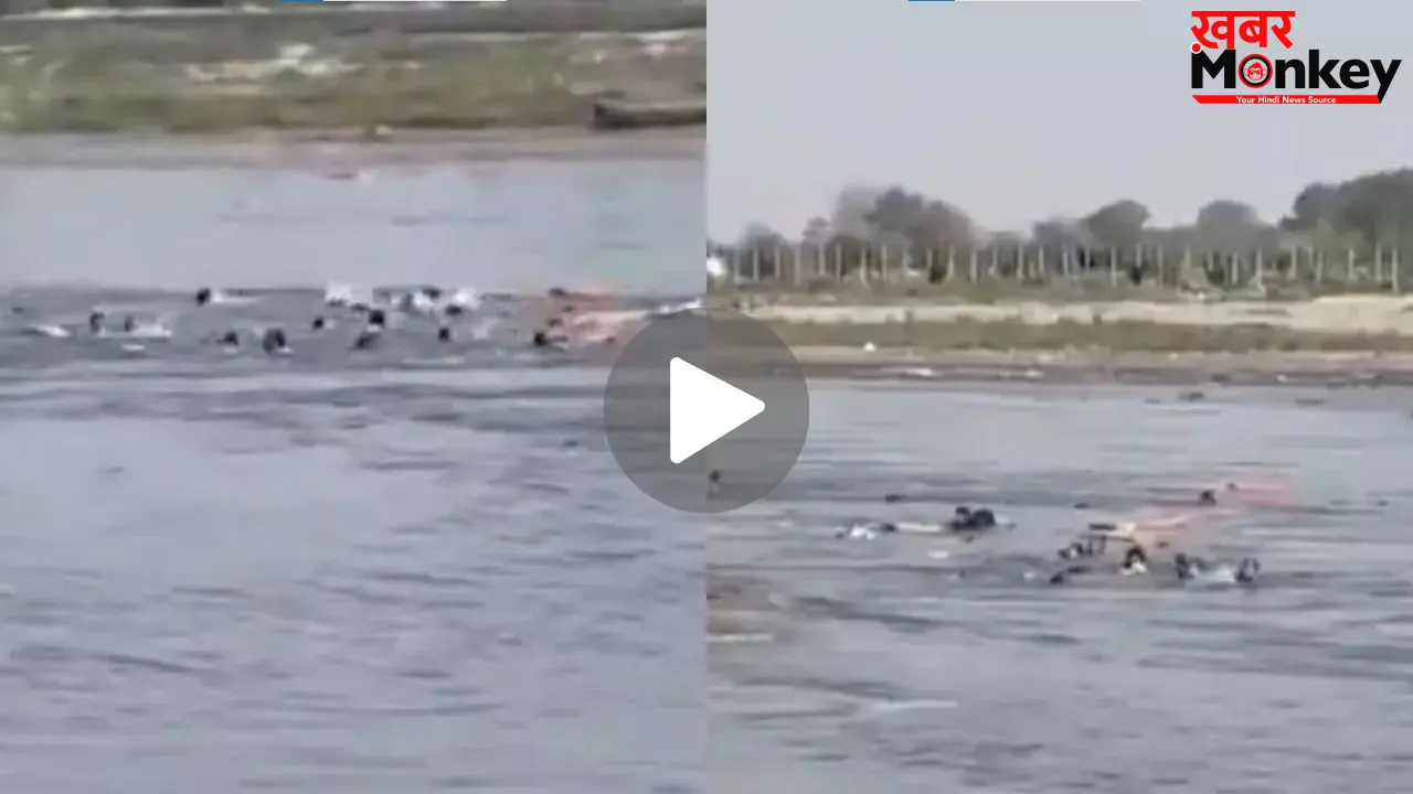 मथुरा नाव हादसे का लाइव VIDEO आया सामने, यमुना में जान बचाने को छटपटाते दिखे लोग, मंजर देख कांप जाएगी रूह