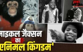 Michael Jackson All Pets: चिंपैंजी, बाघ, हाथी और सांप… माइकल जैक्सन के जाने के बाद कहां गए पॉप किंग के पालतू जानवर?