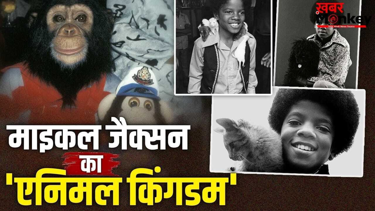 Michael Jackson All Pets: चिंपैंजी, बाघ, हाथी और सांप… माइकल जैक्सन के जाने के बाद कहां गए पॉप किंग के पालतू जानवर?
