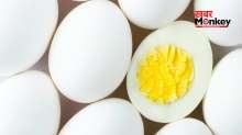 सुबह रोज दो उबला हुआ अंडा खाने से क्या होगा, जानें सेहत को मिलेगा कौन सा फायदा?