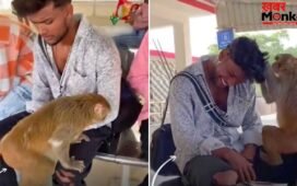 Viral Video: स्टेशन पर युवक के सिर से जुएं निकालता दिखा बंदर, वीडियो देख छूट जाएगी हंसी