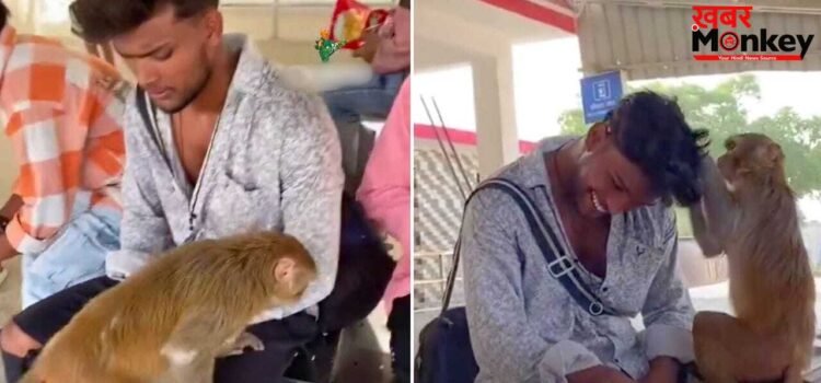 Viral Video: स्टेशन पर युवक के सिर से जुएं निकालता दिखा बंदर, वीडियो देख छूट जाएगी हंसी