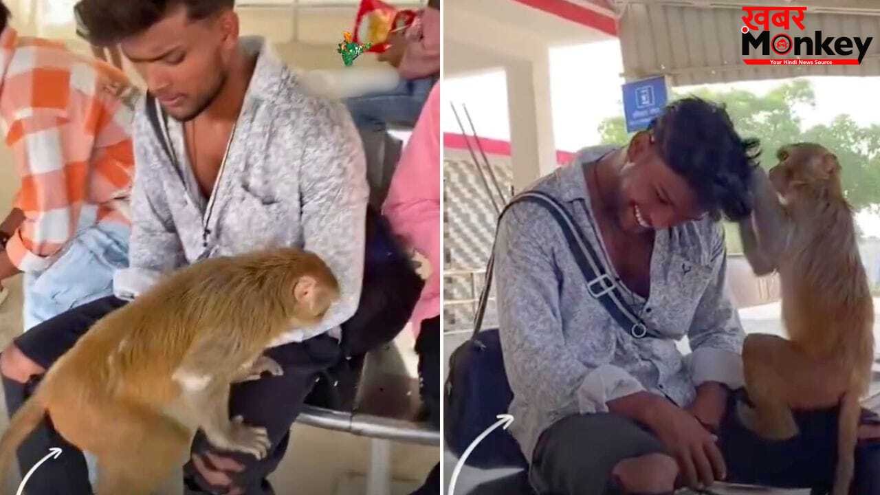 Viral Video: स्टेशन पर युवक के सिर से जुएं निकालता दिखा बंदर, वीडियो देख छूट जाएगी हंसी