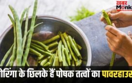 मोरिंगा के छिलके फेंके नहीं…पोषक तत्वों का हैं पावरहाउस! ऐसे करें यूज