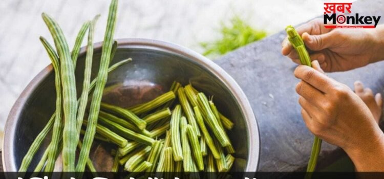 मोरिंगा के छिलके फेंके नहीं…पोषक तत्वों का हैं पावरहाउस! ऐसे करें यूज