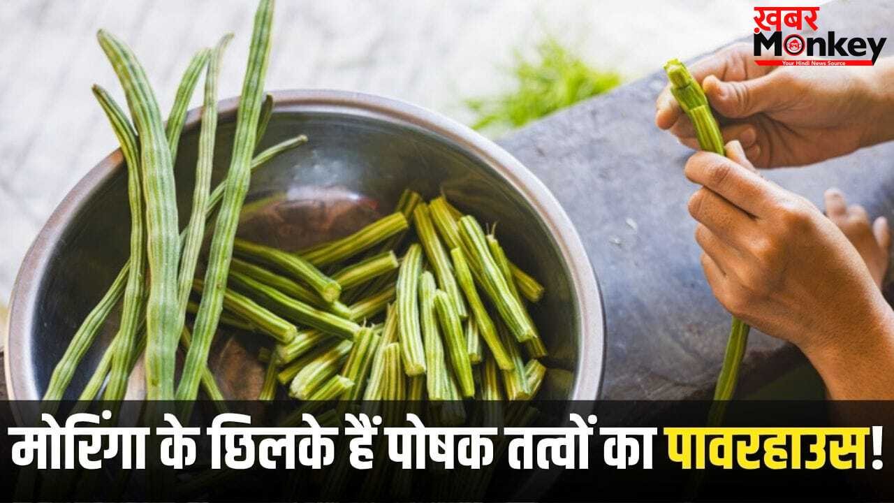 मोरिंगा के छिलके फेंके नहीं…पोषक तत्वों का हैं पावरहाउस! ऐसे करें यूज