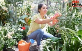Gardening Tips: गर्मियों में भी नहीं सूखेंगे पौधे, अपनाएं ये स्मार्ट ट्रिक, रोज-रोज पानी देने की झंझट ही खत्म!