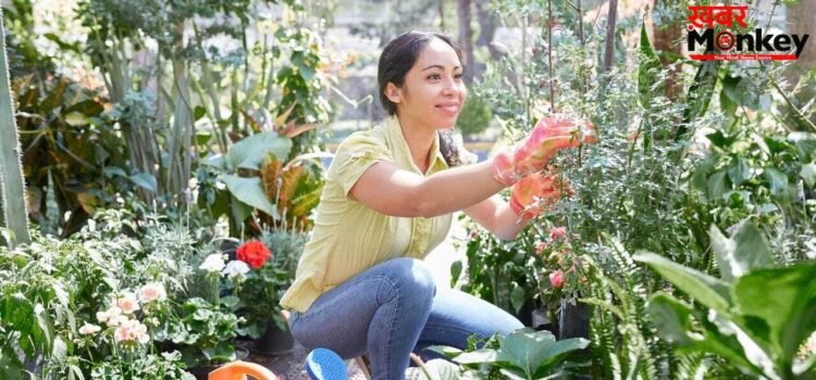Gardening Tips: गर्मियों में भी नहीं सूखेंगे पौधे, अपनाएं ये स्मार्ट ट्रिक, रोज-रोज पानी देने की झंझट ही खत्म!