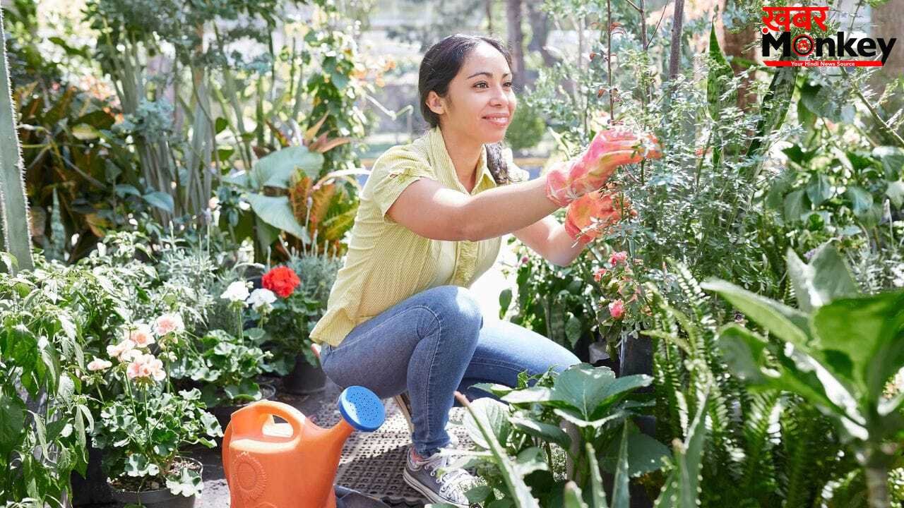 Gardening Tips: गर्मियों में भी नहीं सूखेंगे पौधे, अपनाएं ये स्मार्ट ट्रिक, रोज-रोज पानी देने की झंझट ही खत्म!