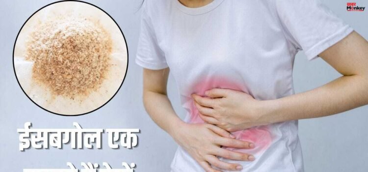 How To eat Psyllium Husk: ईसबगोल खाने के 5 तरीके, इन पांच हेल्थ प्रॉब्लम से दिलाएंगे छुटकारा